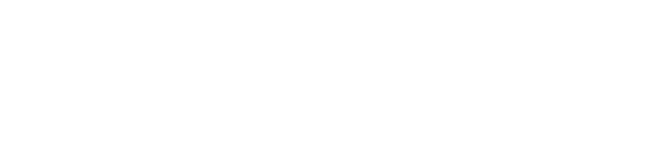 Nords Oy logo valkoinen